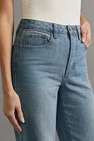 Julia High Rise Flare Denim Jeans