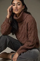 Aviana Cable Pullover Sweater Brown