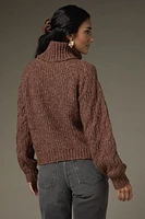 Aviana Cable Pullover Sweater Brown