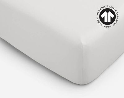 300TC Organic Cotton Fitted Sheet - White by QE Home  (Twin, White)