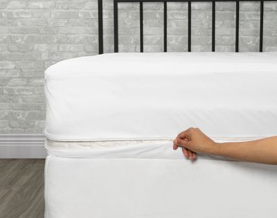 Anti Bed Bug Mattress Encasement by QE Home  (King, White)