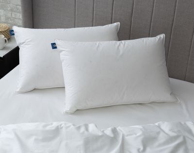 Opula Firm White Down Pillow by QE Home  (Queen, White)