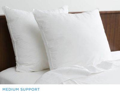 Essential Euro Pillow Insert by QE Home  (White)