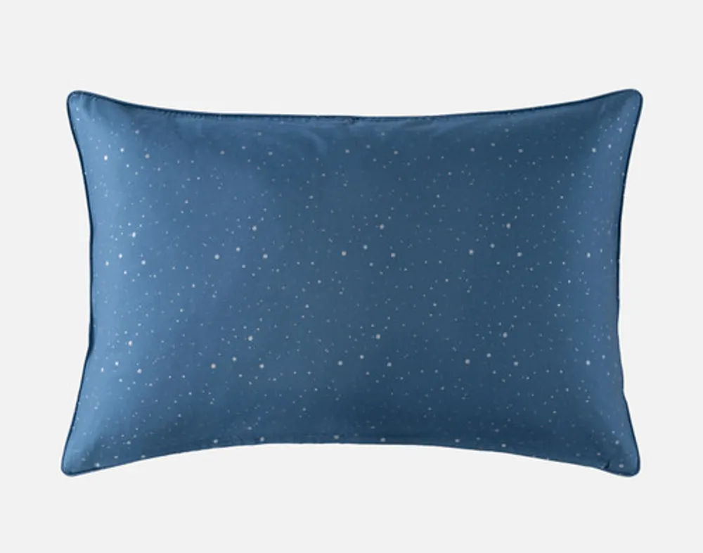 Supernova Pillow Sham, Scenic, Blue,