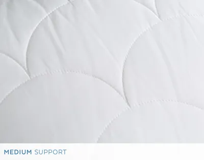 Silk Surround Pillow with Microgel Core