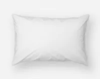 Prima Pillow Protector (Set of 2), OEKO-TEX Certified, White,