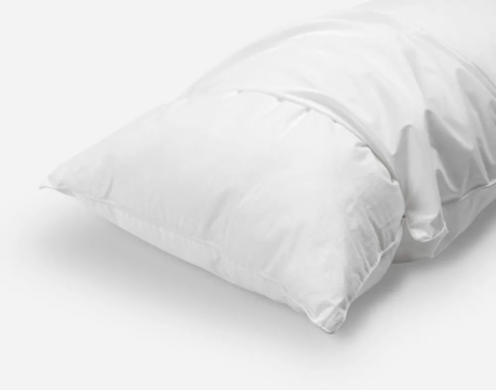 Prima Pillow Protector (Set of 2), OEKO-TEX Certified, White,