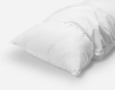 Prima Pillow Protector (Set of 2)