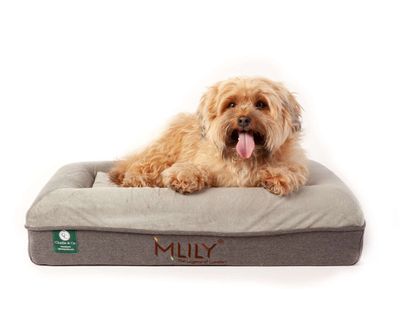 Charlie & Co Ergonomic Memory Foam Pet Bed by QE Home  (Small, White)