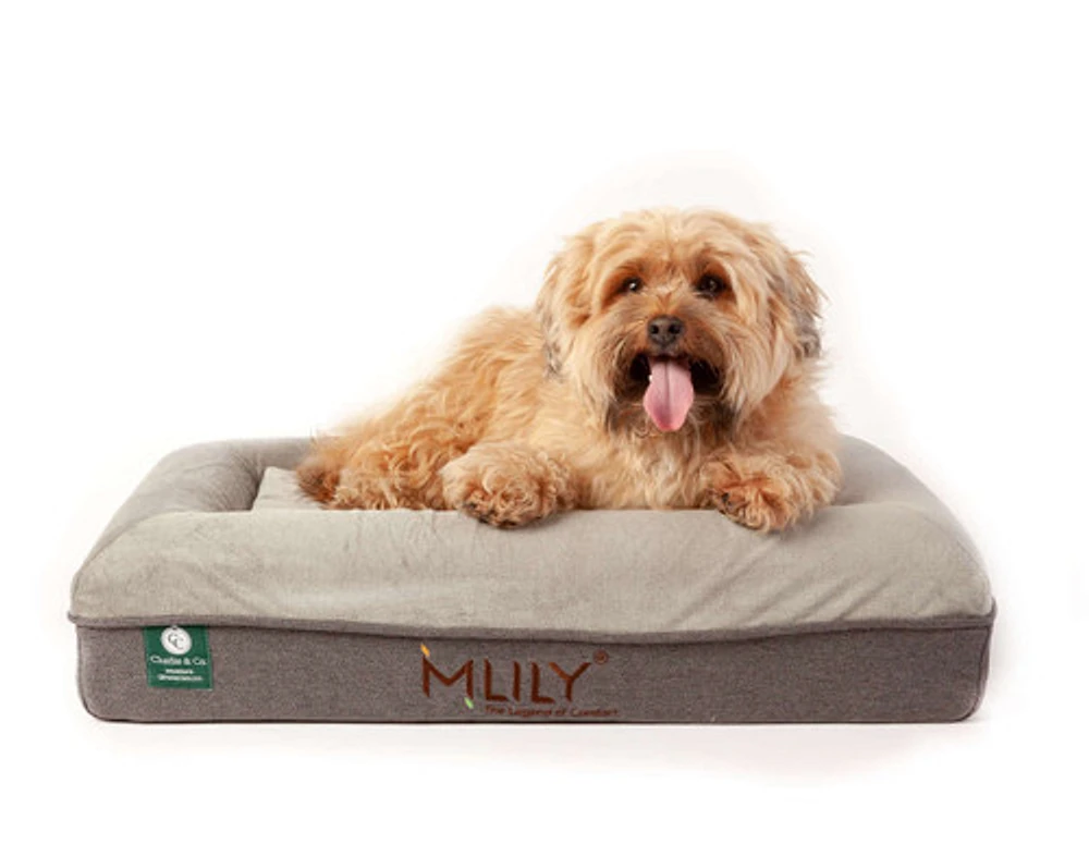 Charlie & Co Ergonomic Memory Foam Pet Bed, White,