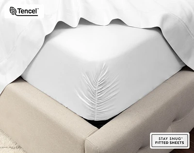 500TC Eucalyptus Luxe TENCEL Lyocell Sheet Set Fitted