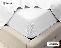 500TC Eucalyptus Luxe TENCEL Lyocell Sheet Set Fitted