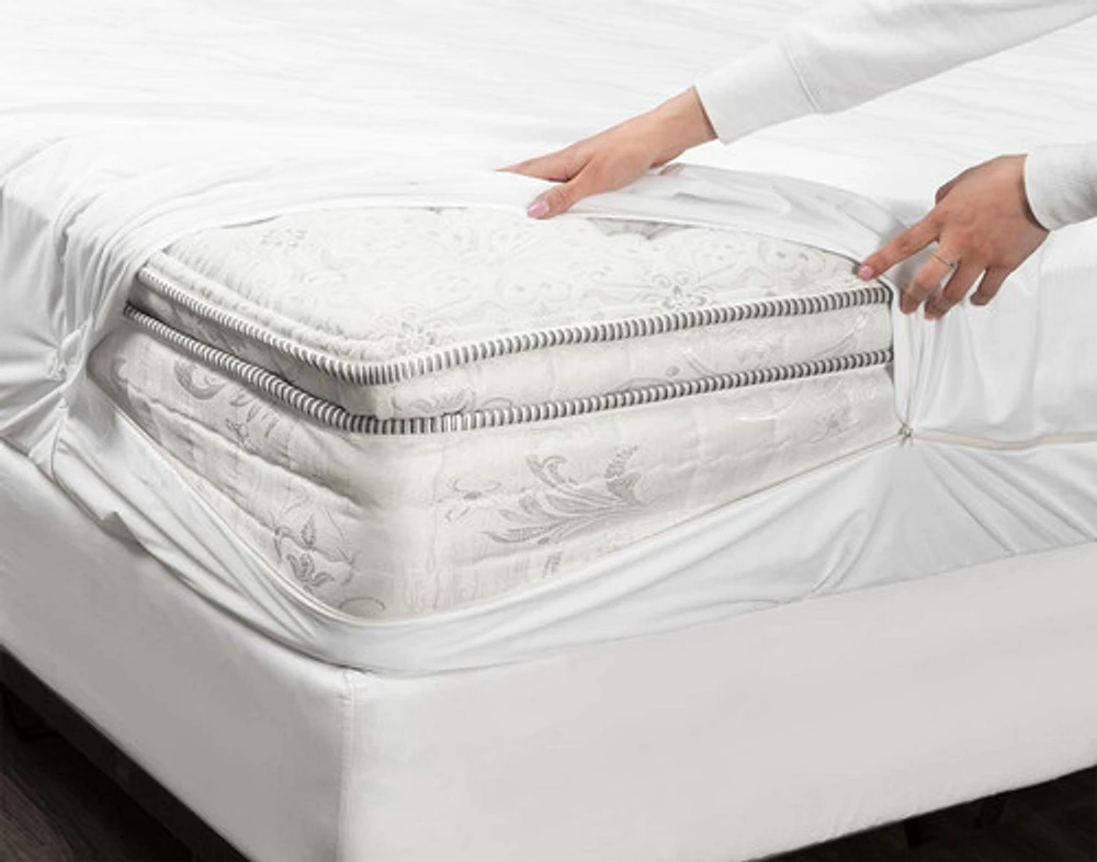 Anti Bed Bug Mattress Encasement, White,