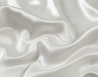 100% Mulberry Silk Duvet Cover