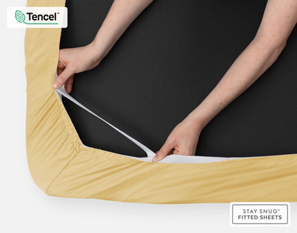 350TC BeechBliss TENCEL Modal Fitted Sheet