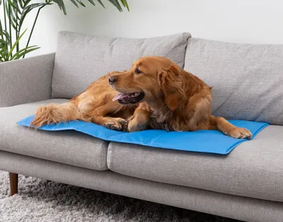 Cooling Pet Pad, Blue,