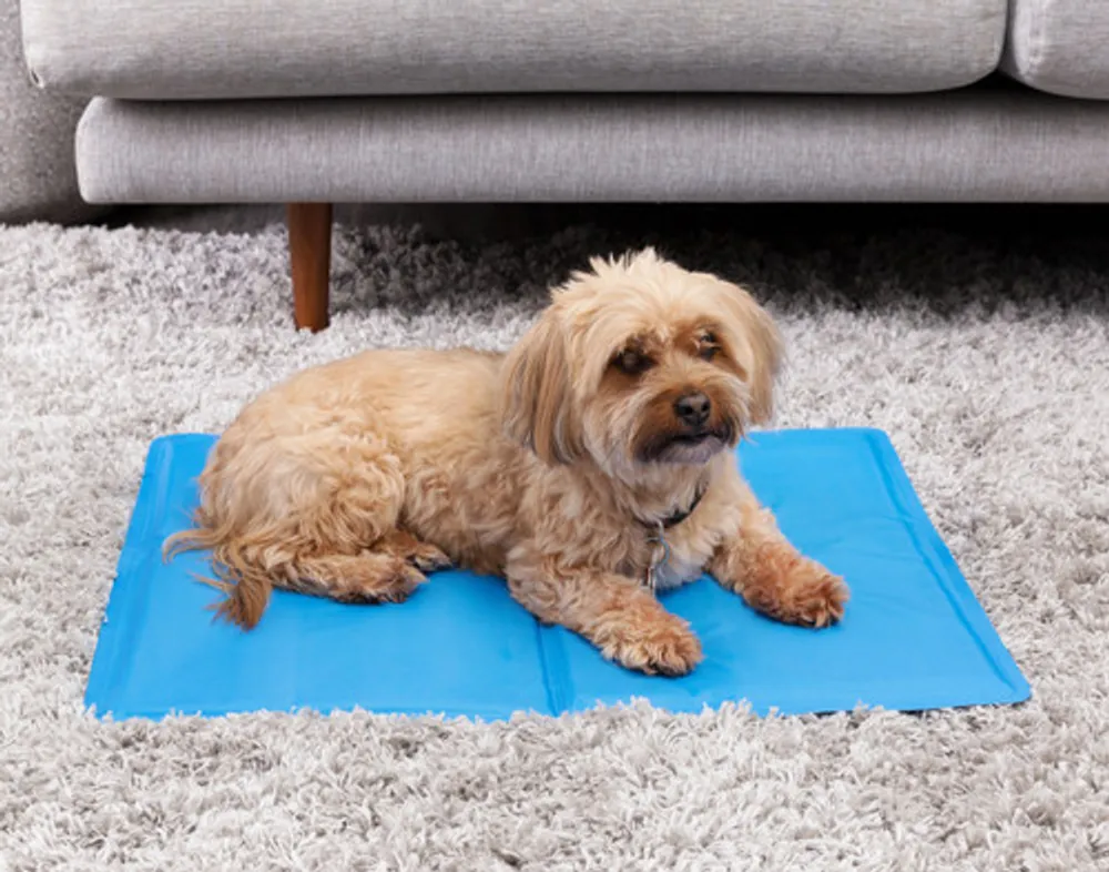 Cooling Pet Pad, Blue,