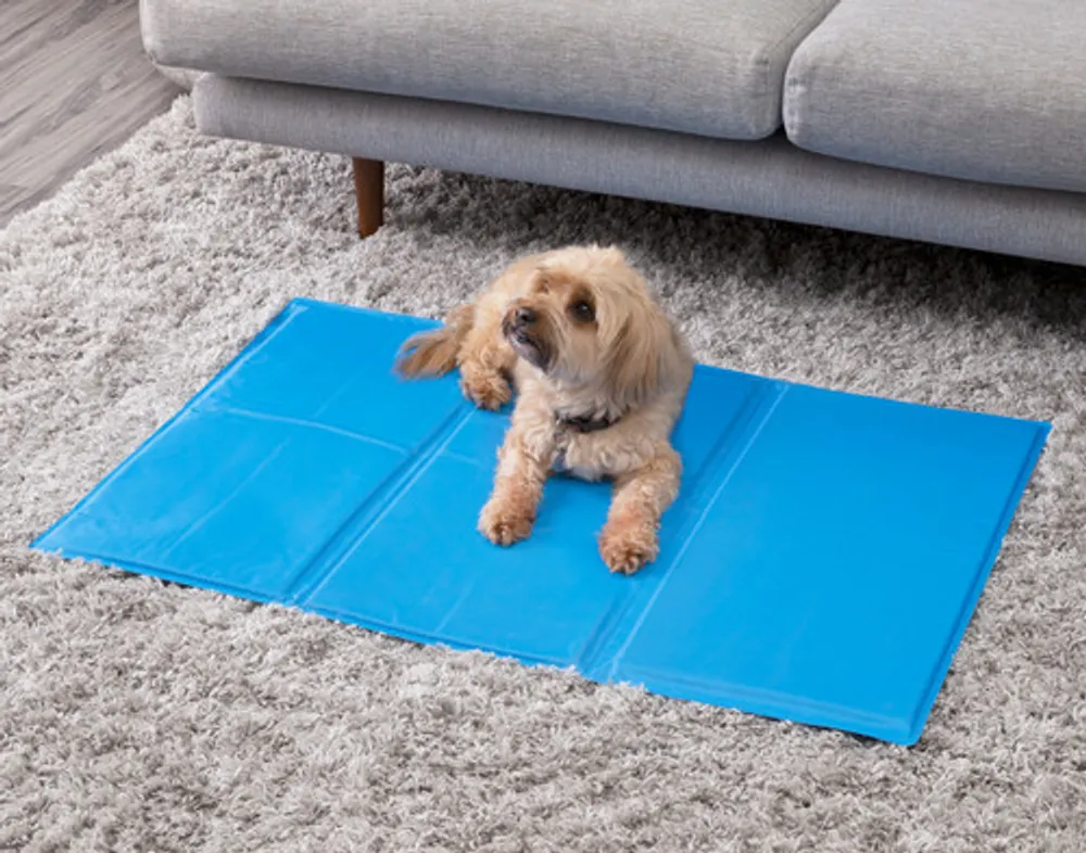 Cooling Pet Pad, Blue,