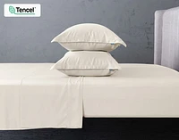 350TC BeechBliss TENCEL Modal Pillow Shams