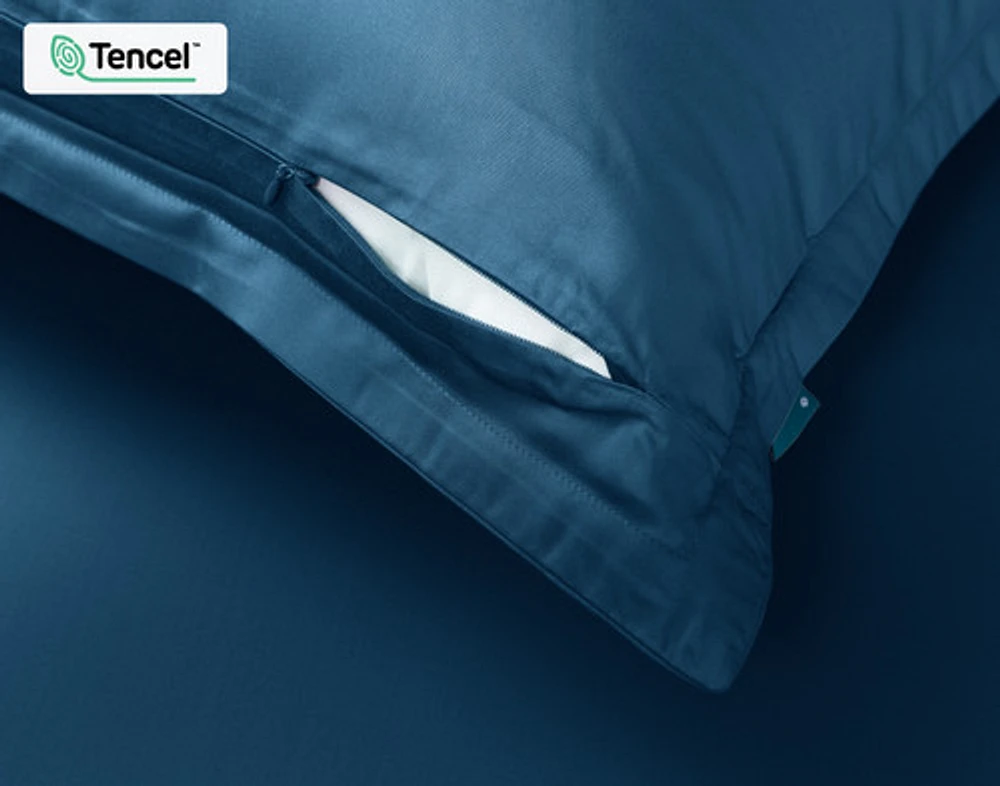 350TC BeechBliss TENCEL Modal Pillow Shams