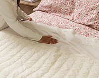 Cotton Caress Sheet Set