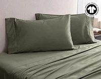 300TC Organic Cotton Pillowcases