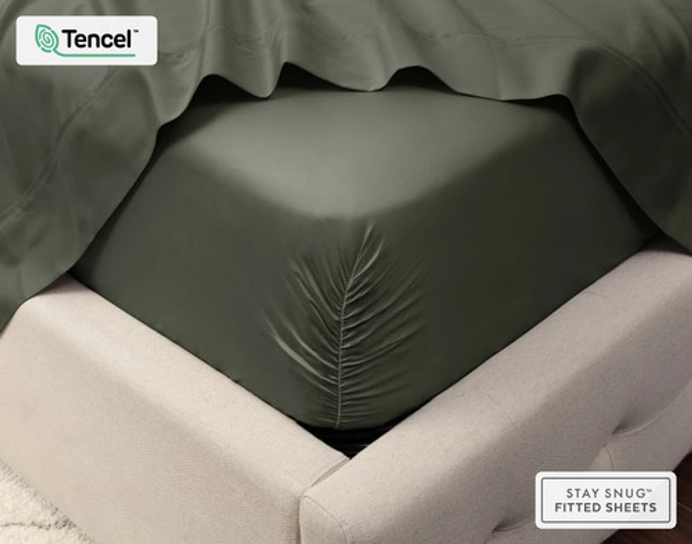 500TC Eucalyptus Luxe TENCEL Lyocell Sheet Set Fitted