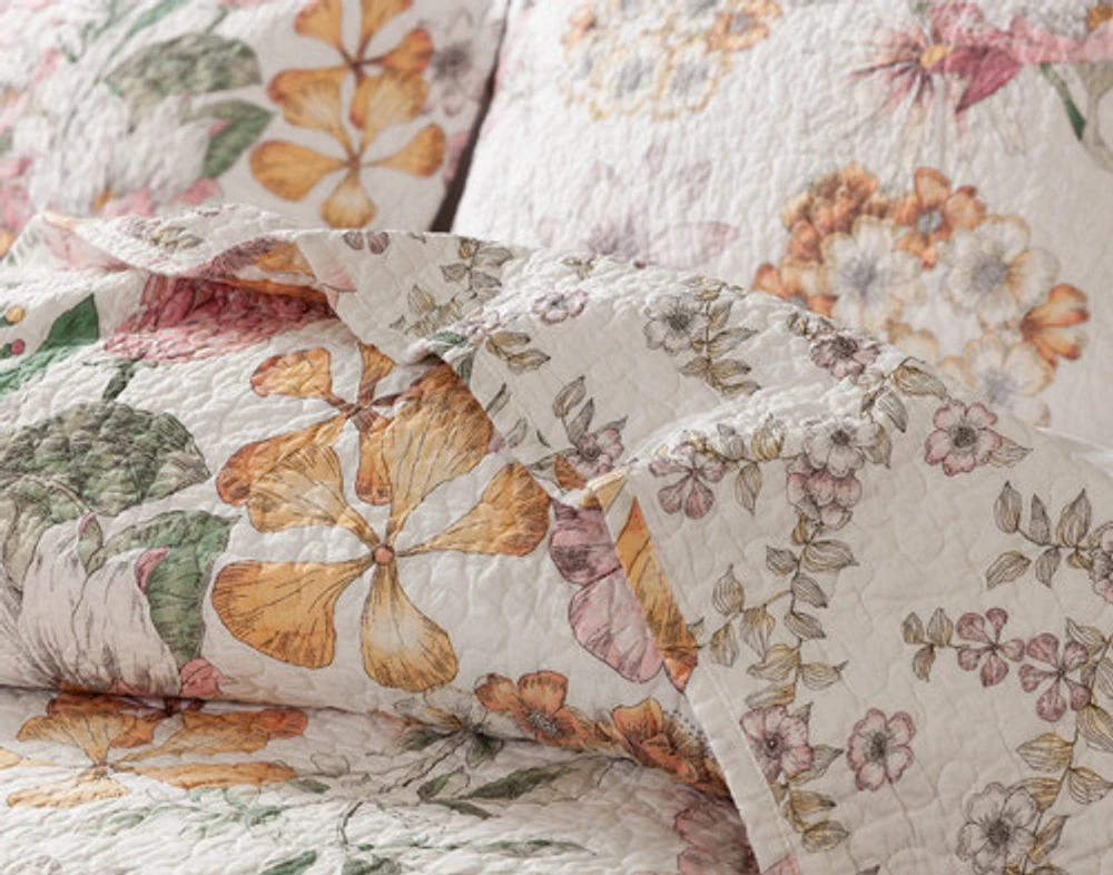 Kalbarri Cotton Quilt Set, Floral, Pink,