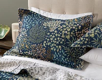 Kindred Cotton Quilt Set, Botanical, Blue,