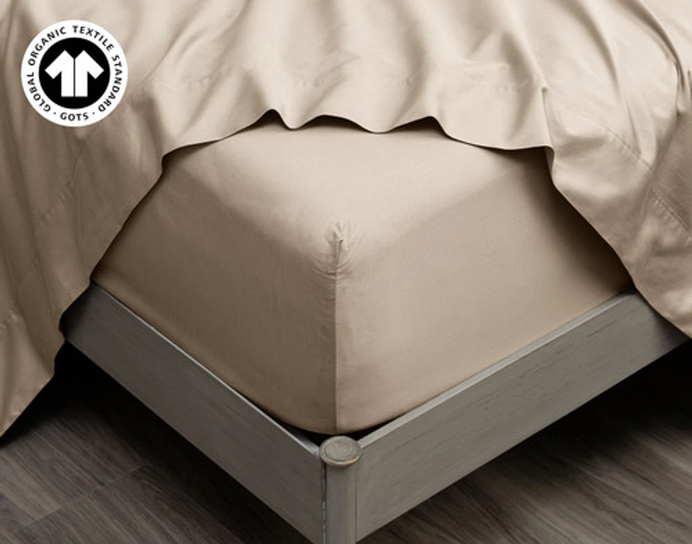 300TC Organic Cotton Sheet Set