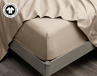 300TC Organic Cotton Sheet Set