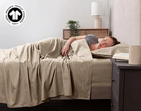 300TC Organic Cotton Sheet Set