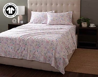 300TC Organic Cotton Sheet Set