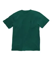 Men's Carefree Unshrinkable Tee with Pocket, Traditional Fit