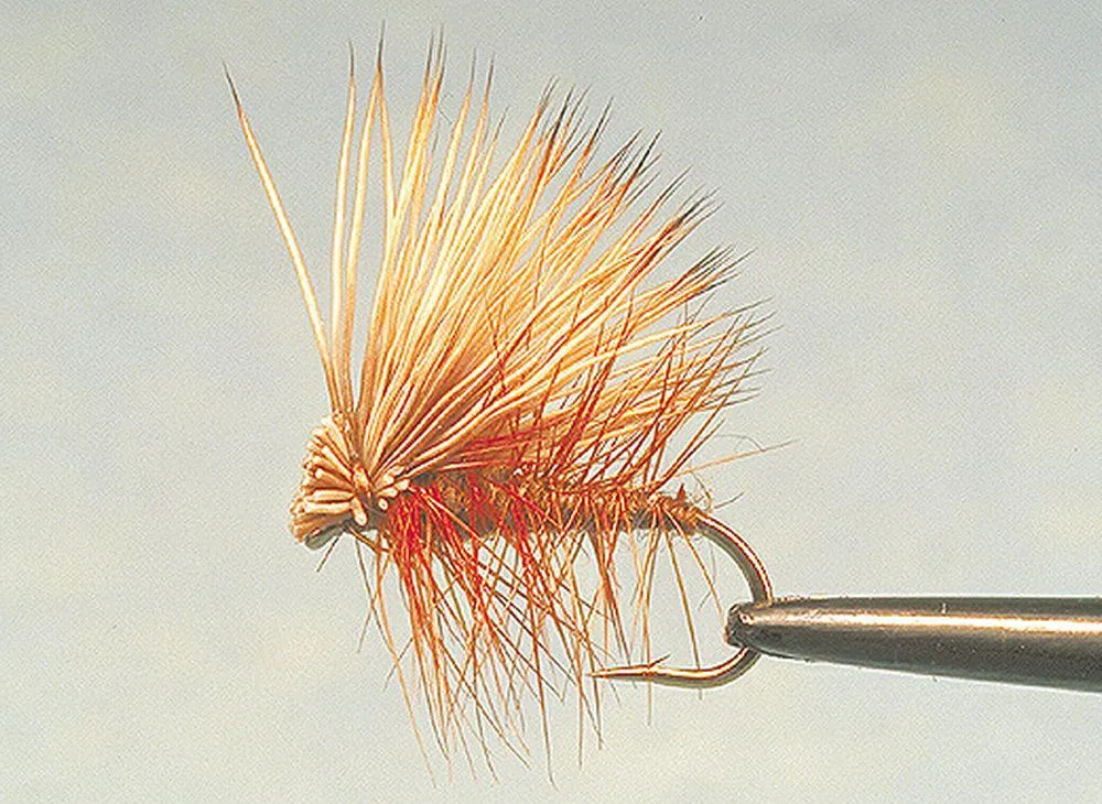 Elk Hair Caddis, 2-Pack