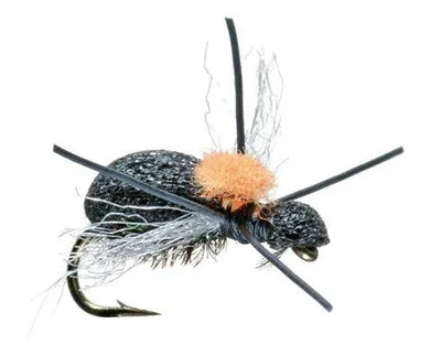 Fat Head Beetle, 2-Pack