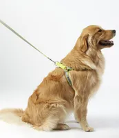 Personalized Reflective Pet Harness