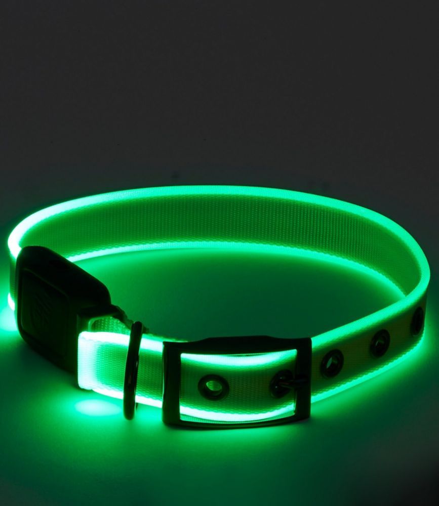 NiteDog® Rechargeable LED Dog Collar