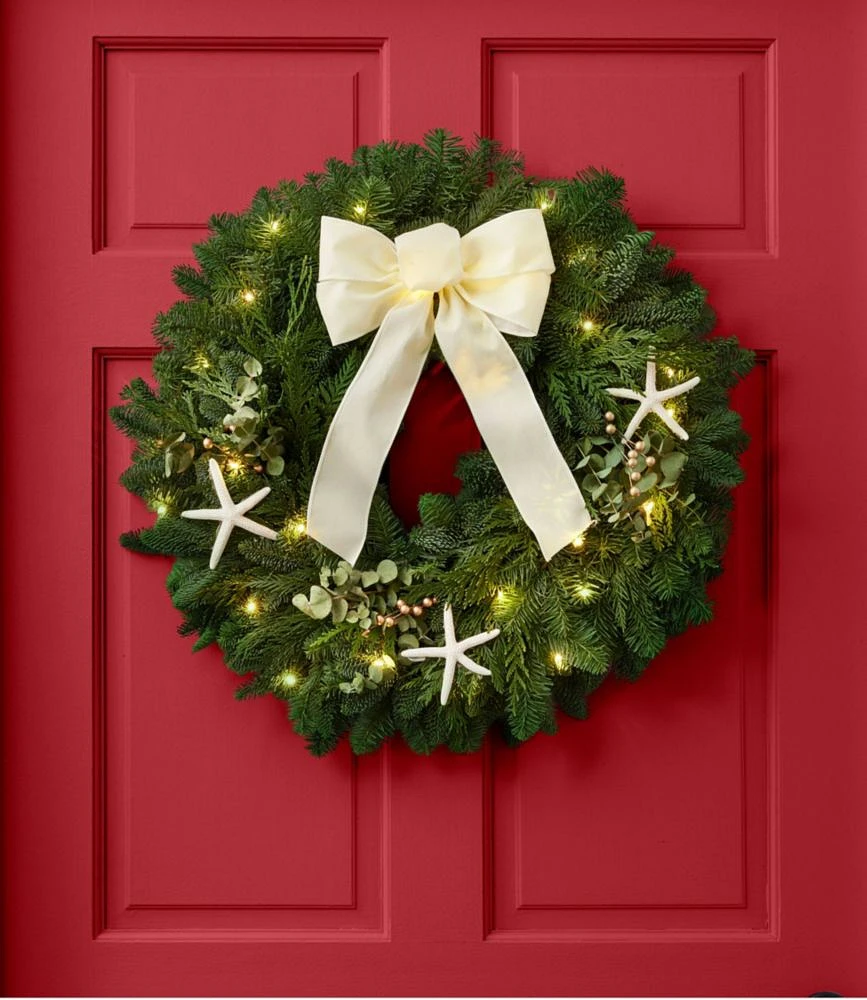 Coastal Evergreen Wreath, Lighted, 24"