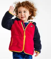 Toddlers' L.L.Bean Hi-Pile Fleece Jacket, Colorblock