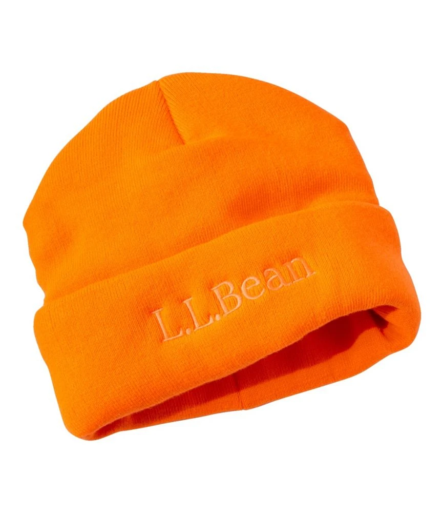 Adults' All Weather LL Beanie