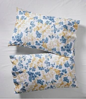 Organic Cotton Percale Sheet Collection, Botanical Print