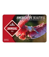 2025 America the Beautiful--the National Parks and Federal Recreational Lands Annual Pass