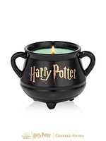 Harry Potter™ Cauldron Candle