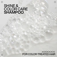 REDKEN Acidic Color Gloss Spring Duo