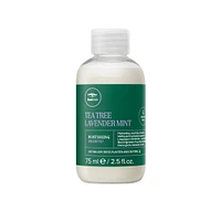 CLEARANCE PAUL MITCHELL Tea Tree Lavender Mint Moisturizing Shampoo