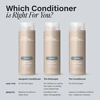 PAUL MITCHELL The Detangler