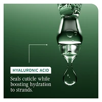 BIOLAGE Hydra Source Shampoo
