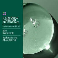 BIOLAGE Hydra Source Shampoo