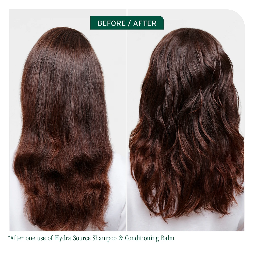 BIOLAGE Hydra Source Conditioning Balm
